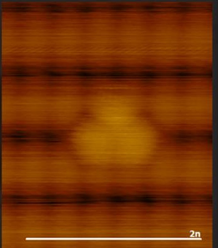 STM — six-carbon structure on Si(100), 2 nm scale bar